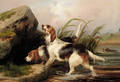 Otter hounds on the scent - Colin Graeme Roe