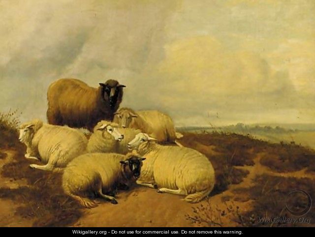 Sheep resting in a meadow 3 - (after) Thomas Sidney Cooper