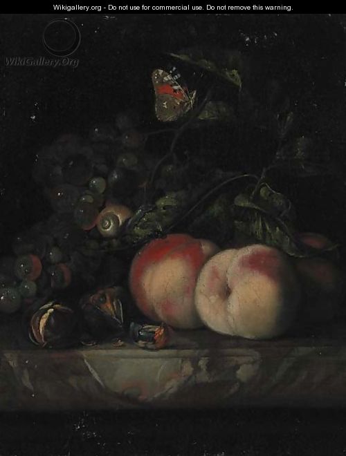 Grapes, peaches and walnuts, with a snail and a butterfly in foliage on a marble ledge - (after) Willem Van Aelst