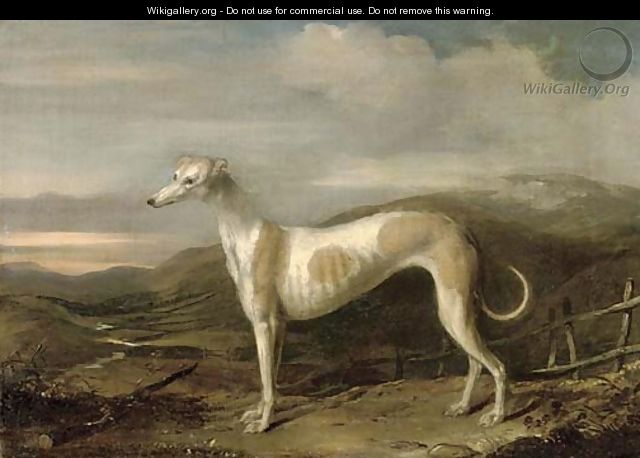 A prize greyhound in an extensive landscape, a river beyond - English School