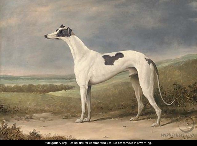 A prize greyhound in an extensive landscape - English School