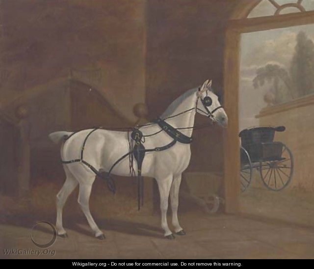 Fancy, a carriage horse - English School