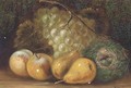 Grapes, apples, pears and a bird