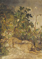 A hare resting by some foliage - English School