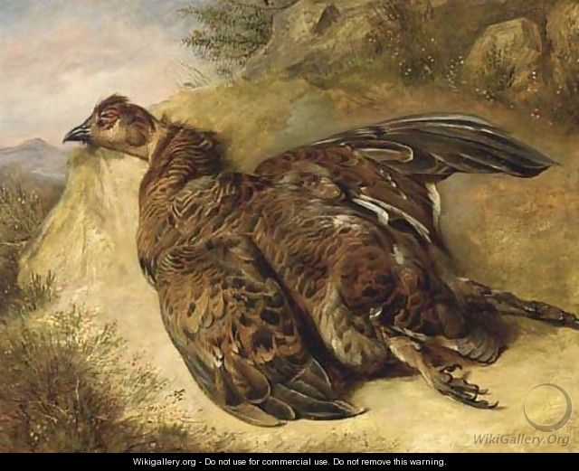 A grouse on a bank - English School