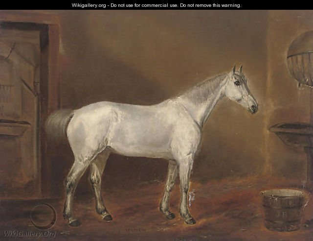 A grey hunter in a stable - English School