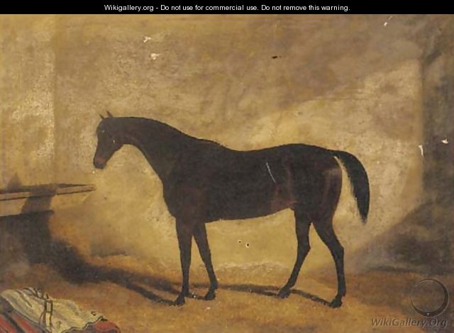 A dark brown hunter in a stable - English School
