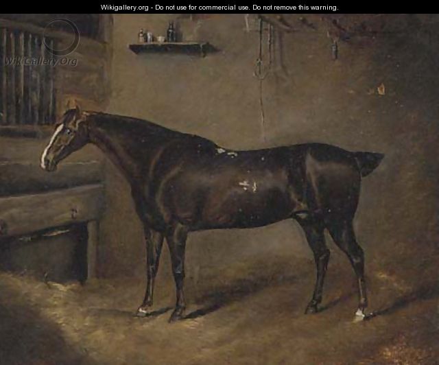 A dark brown horse in a stable - English School