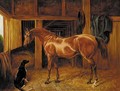 A chestnut hunter with a dog in a stable - English School