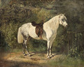 A Dappled Grey Pony - Emil Adam