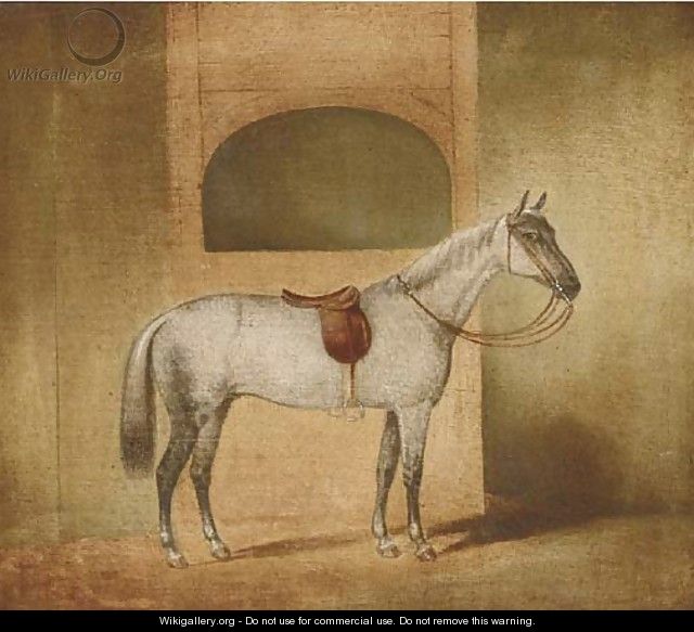 A saddled dapple grey in a stable - English Provincial School