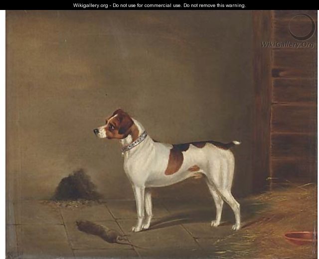 Success, a terrier - Edwin Loder
