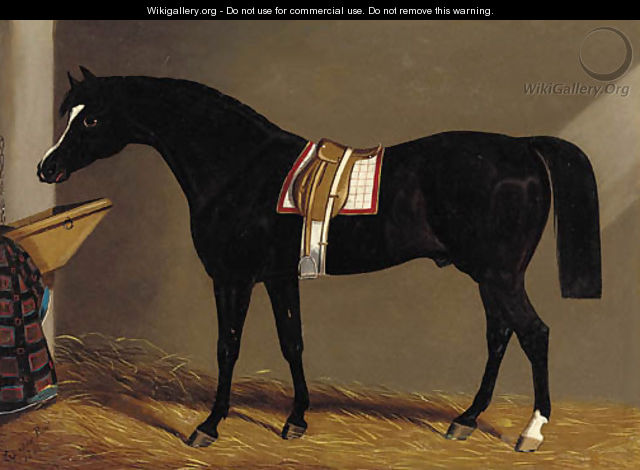 A saddled dark brown hunter in a stable - Edwin Loder