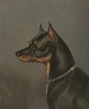 Head of a terrier - Edwin Loder