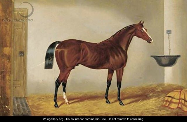 A brown hunter in a stable - Edwin Loder