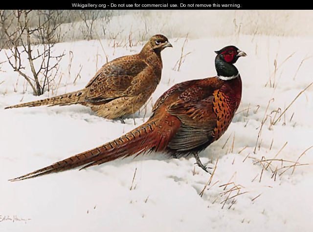 A Cock and Hen Pheasant in the Snow - Edward Penny