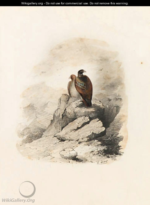 A pair of birds of prey on a rocky outcrop - Edward Lear