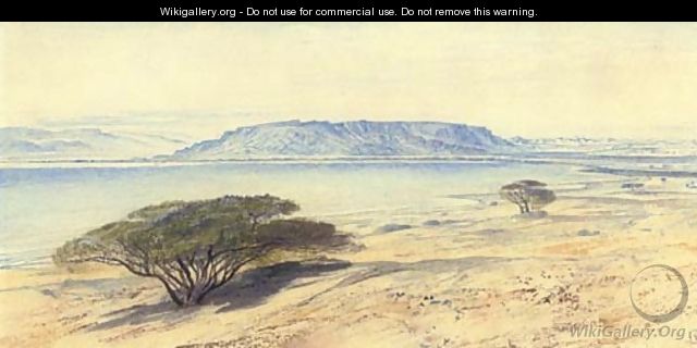 The southern end of the Dead Sea - Edward Lear