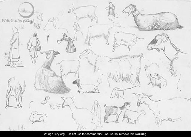 Studies of sheep and herdsmen - Edward Lear