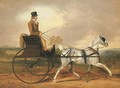A Gentleman riding a Horse and Gig - Edwin Cooper
