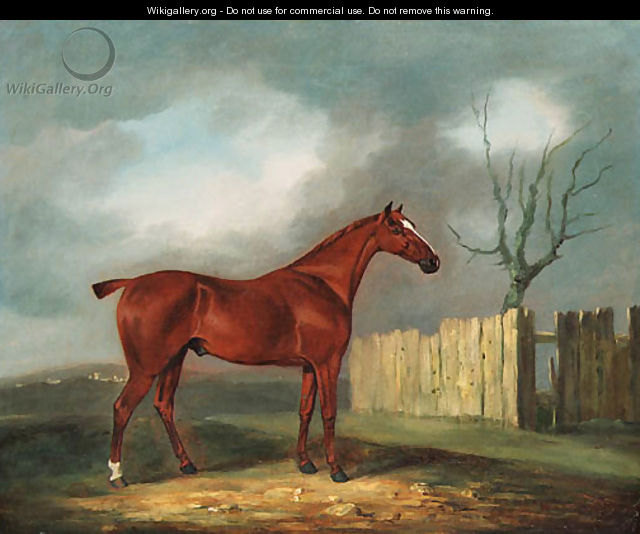 A chestnut Hunter by a Fence in an extensive Landscape - Edwin Cooper
