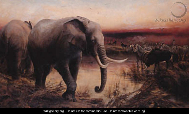 Elephants, Sable Antelope and Zebras at a Waterhole - Sunset - Edward Whymper