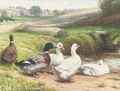 Ducks by a pond - Edward Brice Stanley Montefiore