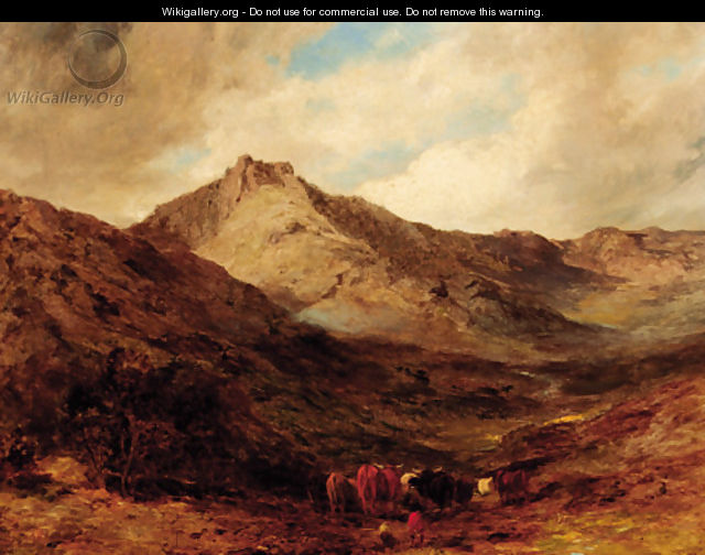 Highland cattle in a mountainous landscape - Edward Hargitt