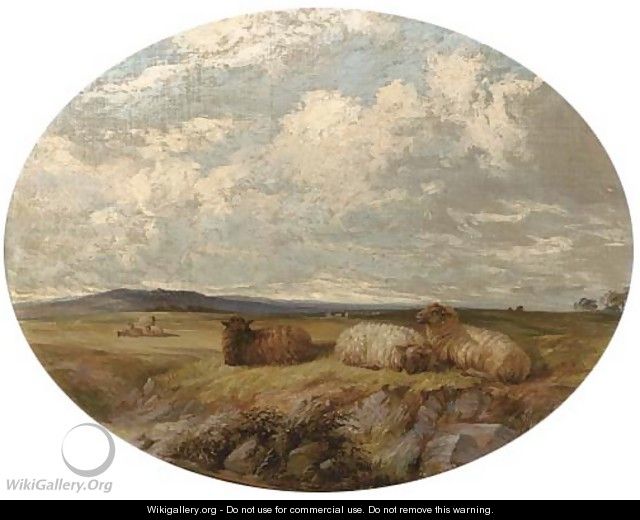 Sheep in a meadow - Edward Pritchard