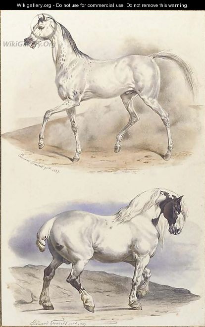 An Arab stallion and a carthorse - Edouard Travies