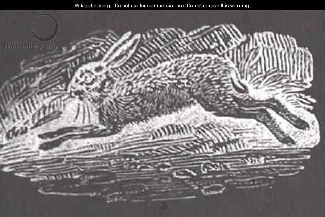 The Hare from 