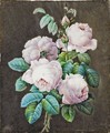 Bouquet Of Roses - (after) Pierre-Joseph Redoute