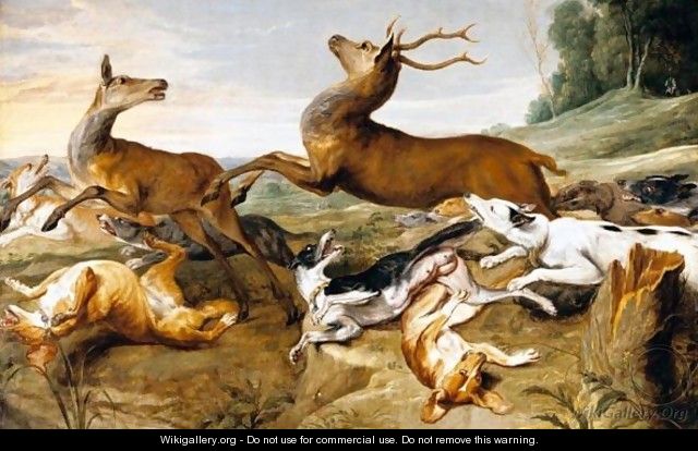 Deer Being Chased By Hounds - (after) Frans Snyders