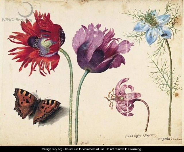 A Sheet Of Flowers Two Opium Poppies, A Lily And A Love-In-A-Mist, With A Beetle And A Tortoiseshell Butterfly - Jacques (de Morgues) Le Moyne