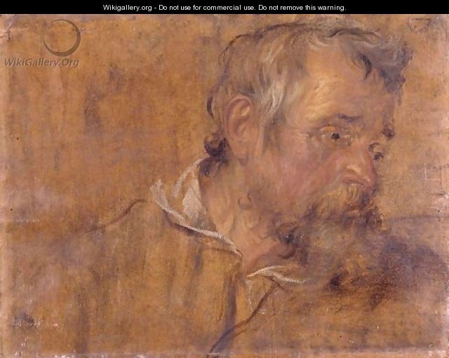 Profile Study Of A Bearded Old Man - (after) Dyck, Sir Anthony van
