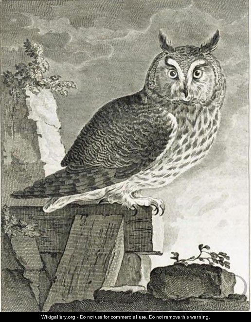 Histoire Naturelle. Parigi Imprimerie Royale, 1750-1767 - Georges de Buffon
