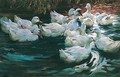 Heimwerts-enten Auf Einem Teich (Homeward Bound-eleven Ducks On A Pond) - Alexander Max Koester