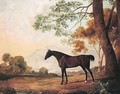 Lord Clermont's Bay Racehorse Johnny In A Landscape - John Best