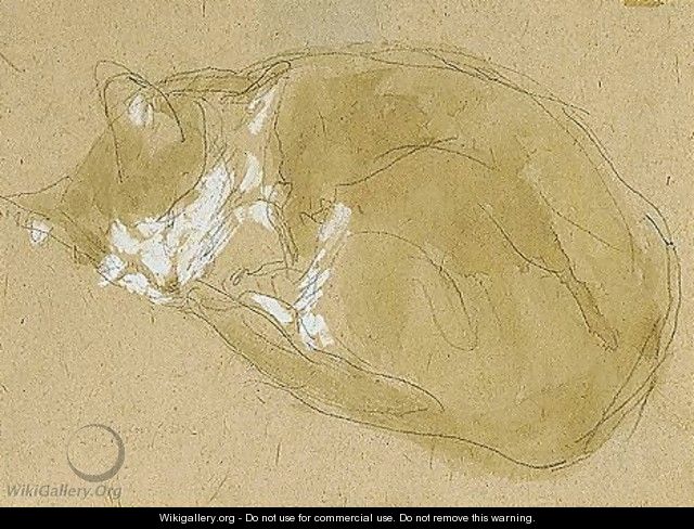 Cat Sleeping - Gwen John