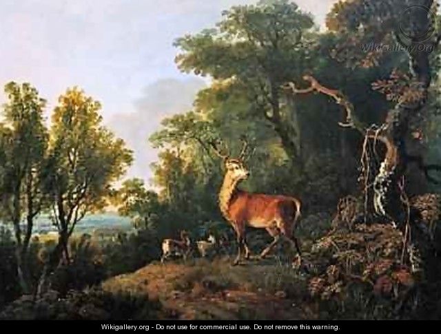 A stag and three hind in a wooded landscape - George Barret