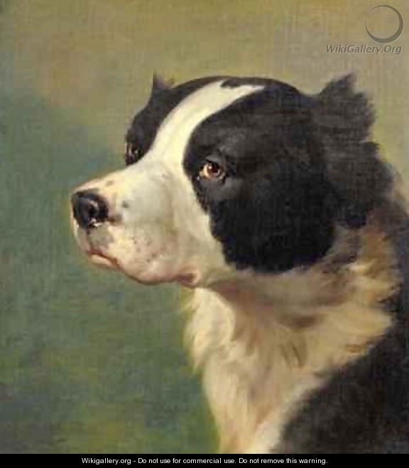 Head of a Sporting Dog - Ranelagh Barret
