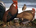 Cock, hen and chicks - Alessandro Battaglia