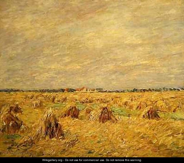 Harvested Fields in a Flat Landscape - Paul Baum