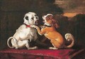 Two Dogs Playing On A Red Cushion - Abraham Danielsz Hondius