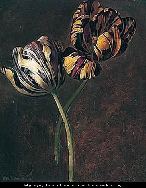 A study of variegated tulips - (after) Jan Frans Van Dael
