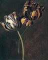 A study of variegated tulips - (after) Jan Frans Van Dael