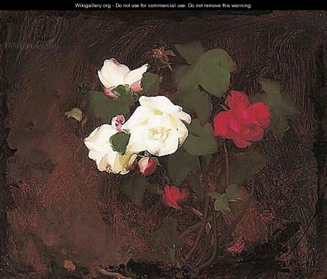 Roses 2 - James Stuart Park