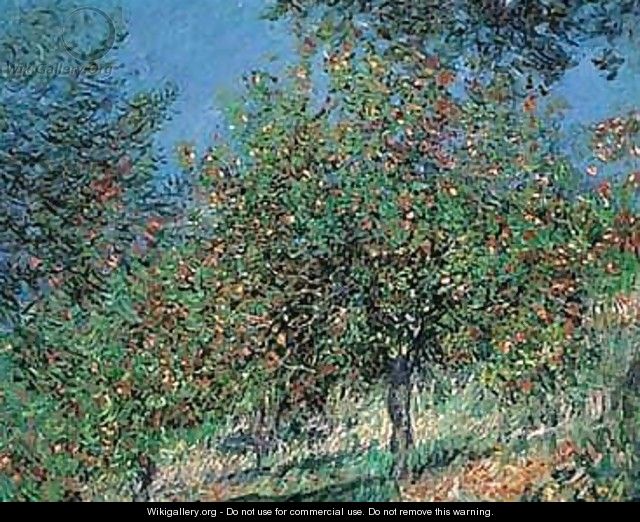 Pommiers sur la cote de chantamesle - Claude Oscar Monet