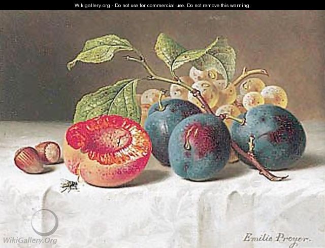 Still Life With Peach And Prunes (Still-leben Mit Pfirsich Und Pflaumen) - Emilie Preyer