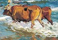 Bueyes En El Mar (Oxen In The Sea) - Joaquin Sorolla y Bastida
